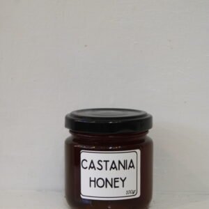 Chestnut honey (Castania honey) (100 g)