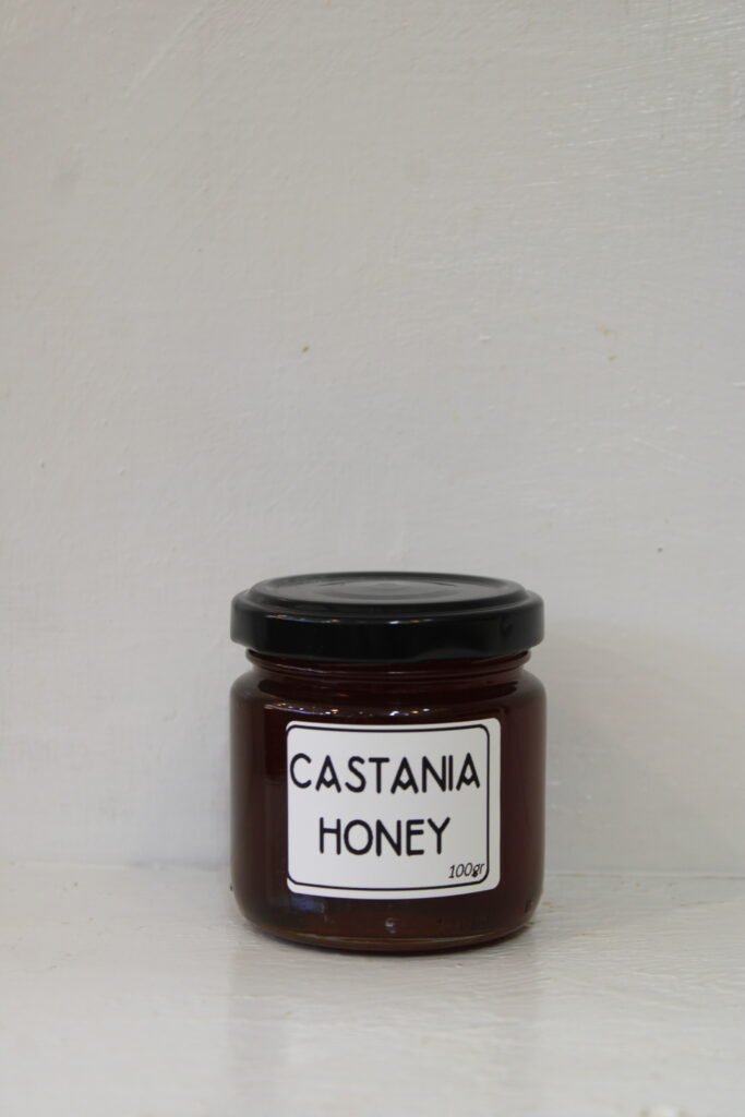 Chestnut honey (Castania honey) (100 g)